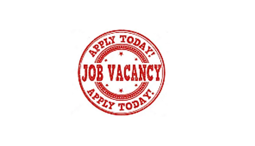 Jobs in Guwahati: Damdama College Recruitment 2024 - Assistant Professor Vacancy