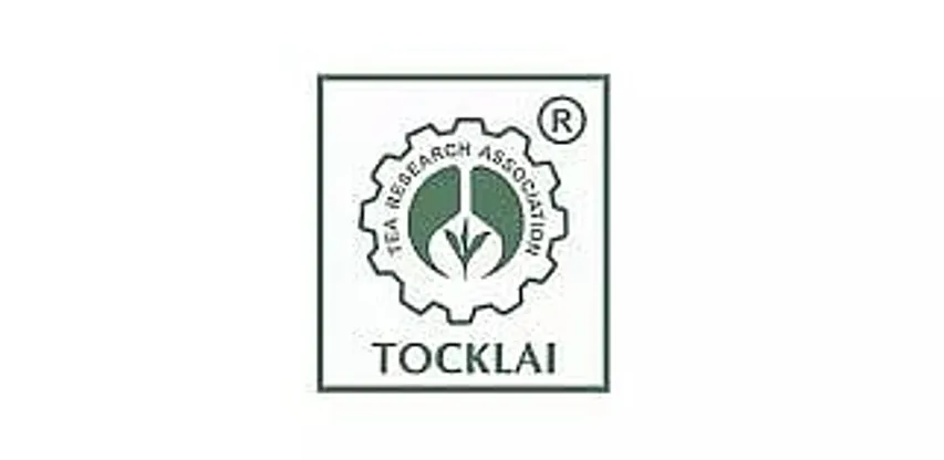 Jobs in Jorhat: Tocklai Tea Research Institute Recruitment 2025 - Junior Research Fellow Vacancy