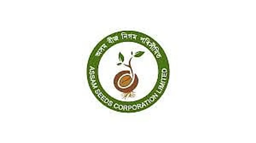 Jobs in Guwahati: ASCLTD Guwahati Recruitment 2025 - Assistant Accounts Officer Vacancy