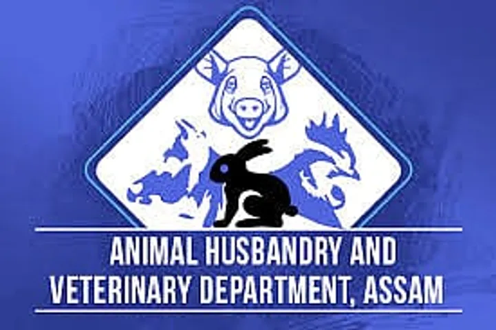 Jobs in Assam: AHVD Assam Recruitment 2025 - Veterinary Field Assistant Vacancy
