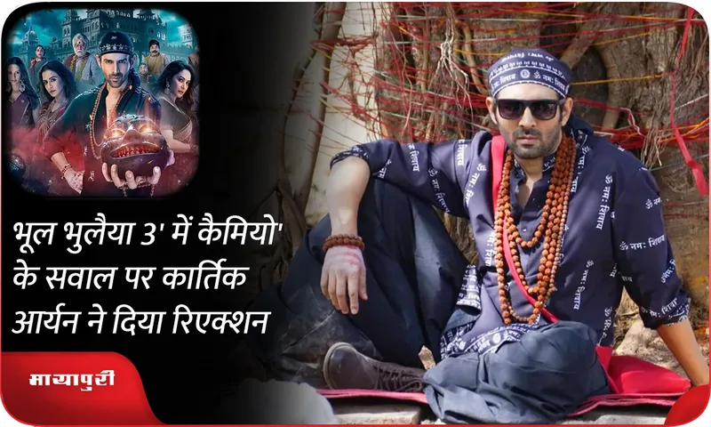 Bhool Bhulaiyaa 3