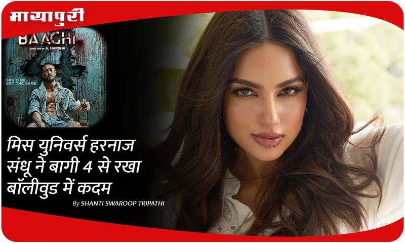 baaghi-4