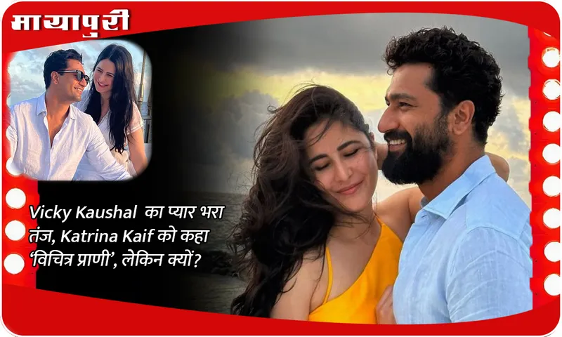 Vicky Kaushal's loving sarcasm, called Katrina Kaif a 'strange creature', but why?