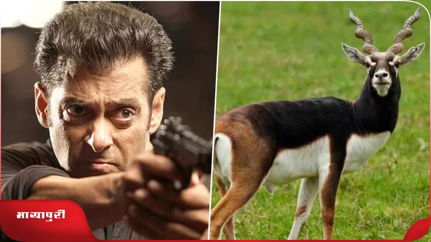Salman khan Blackbuck Poaching Case