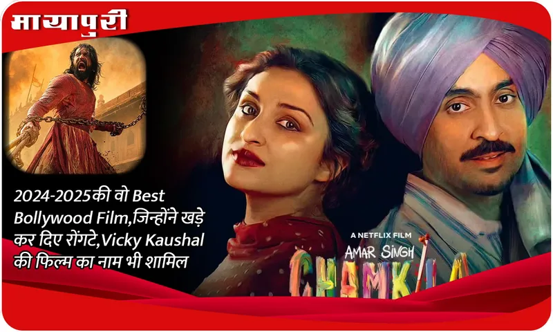Those Best Bollywood Films of 2024-2025, which gave you goosebumps, Vicky Kaushal's film's name is also included