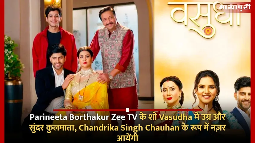 Parineeta Borthakur Zee TV Vasudha