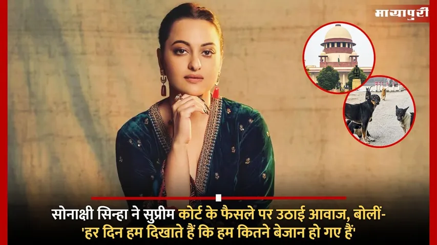 SC order on Stray Dogs