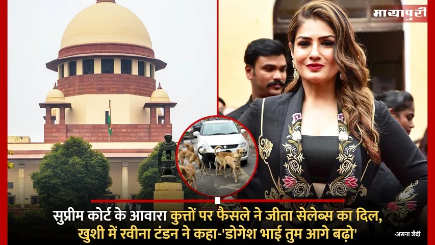 SC order on Stray Dogs