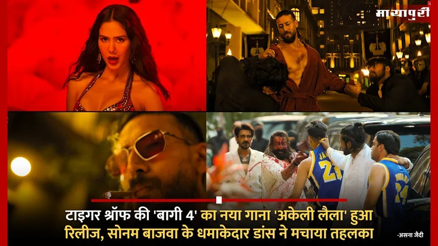 Baaghi 4 New Song Akeli Laila Out