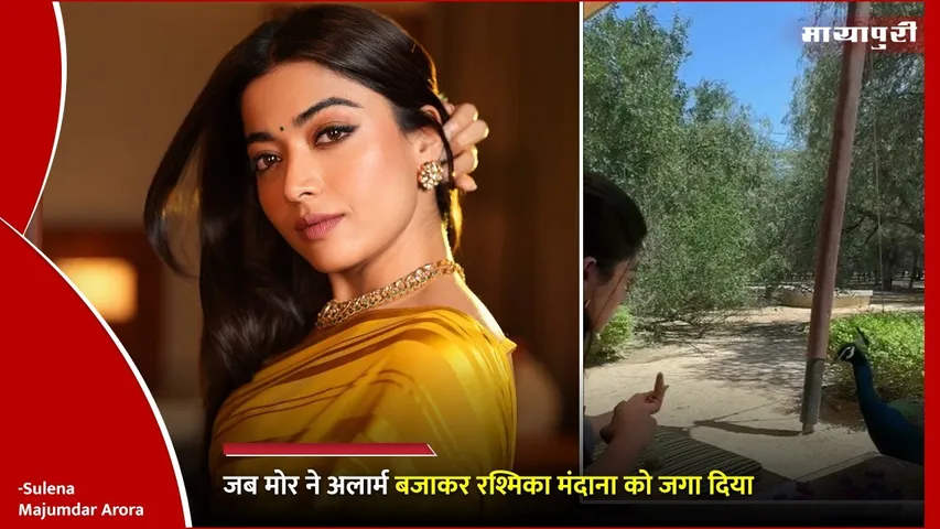 Rashmika Mandanna peacock alarm