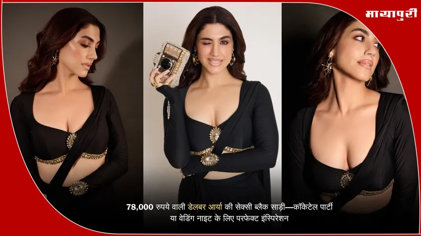 Delbar Arya Black Saree Gown