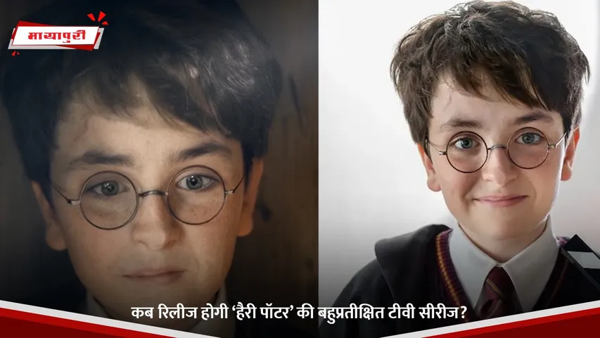 Harry Potter TV Series