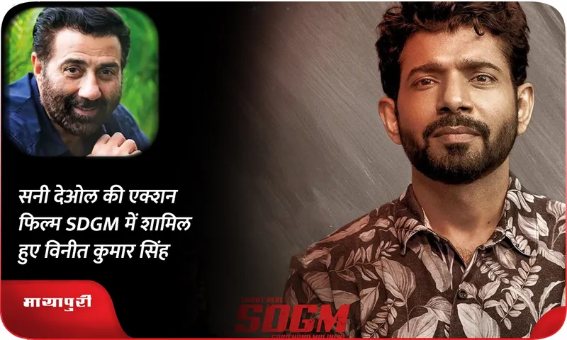 Vineet Kumar Singh 