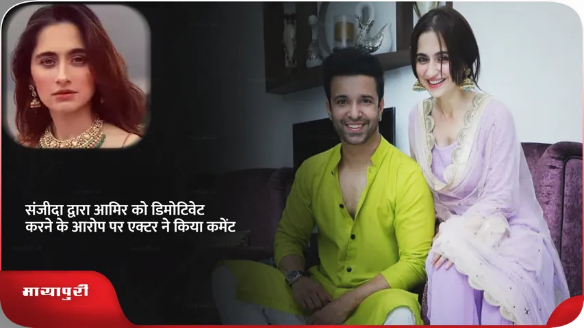 sanjeeda sheikh aamir ali.png