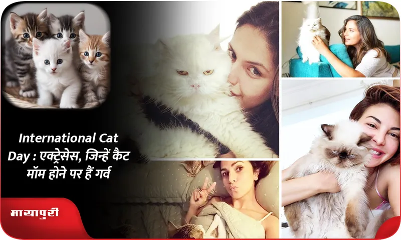 International Cat Day  एक्ट्रेसेस, जिन्हें कैट मॉम होने पर हैं गर्व