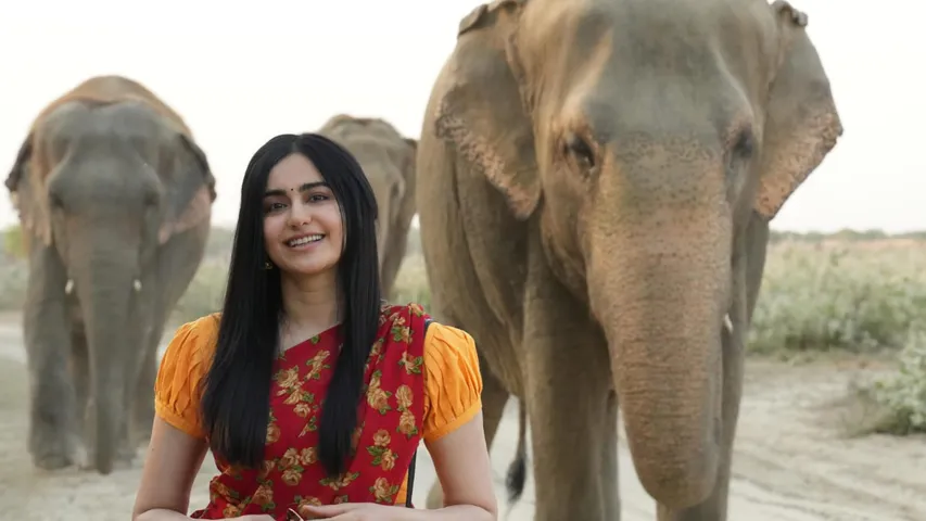 Ada Sharma