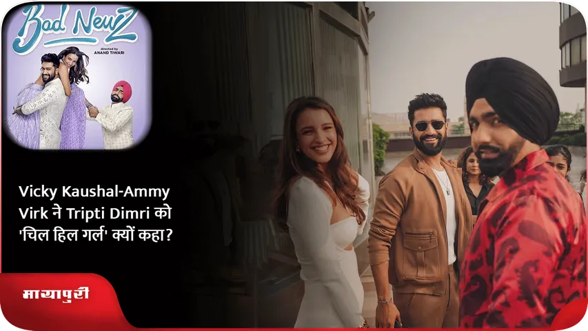Vicky Kaushal-Ammy Virk ने Tripti Dimri को 'चिल हिल गर्ल' क्यों कहा