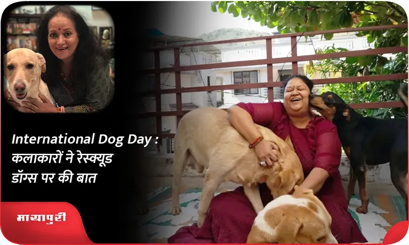 International Dog Day   कलाकारों ने रेस्क्यूड डॉग्स पर की बात
