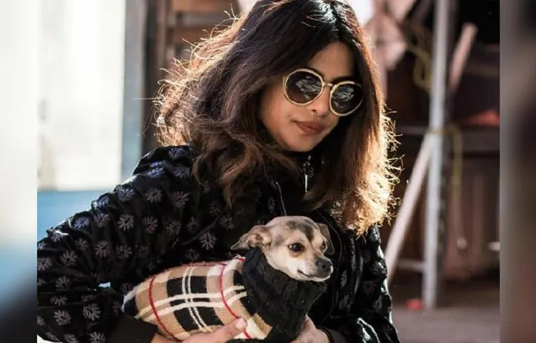 प्रियंका चोपड़ा ने डॉगी को पहनाई डिजाइनर जैकेट, कीमत जानकर हैरान हो जाएंगे आप