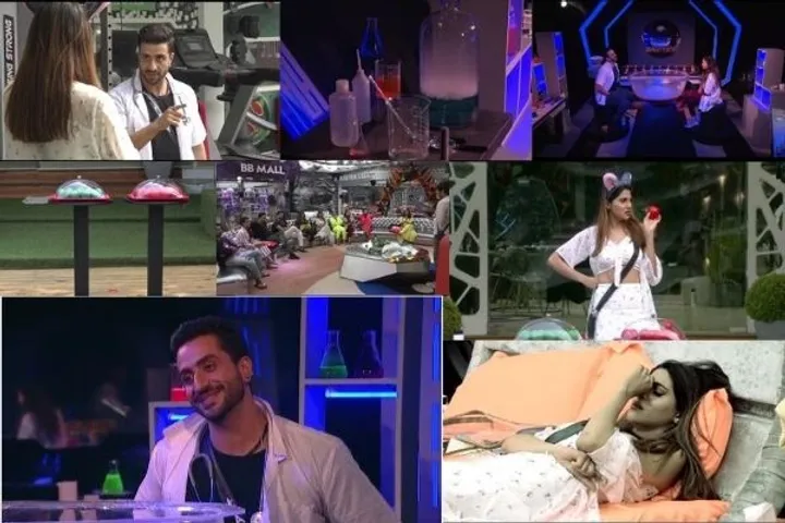 Bigg Boss 14: देखिए Aly Goni का मास्टर स्ट्रोक, कैप्टेनसी टास्क में इस कंटेस्टेंट को दिया धोखा