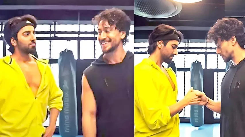who_is_the_biggest_action_hero_between_ayushmann_khurrana_and_tiger_shroff_see_here_mayapuri