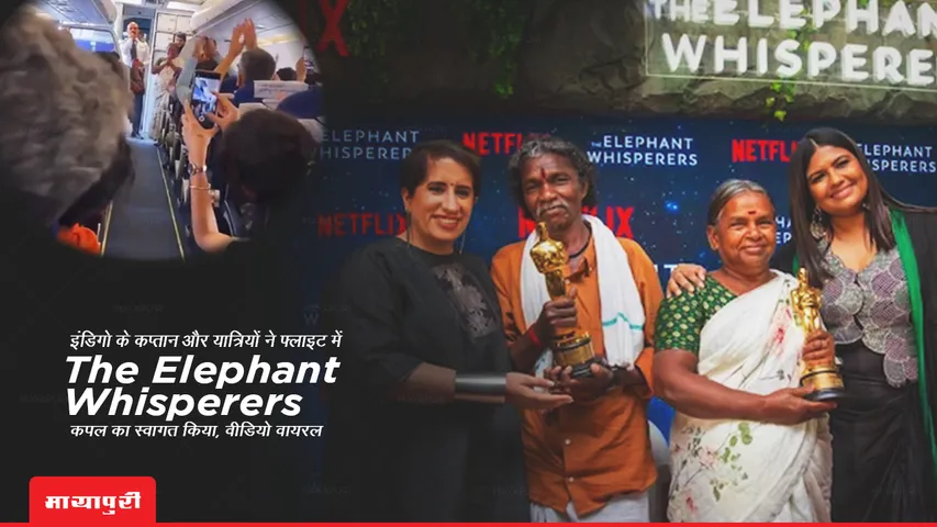 IndiGo The Elephant Whisperers