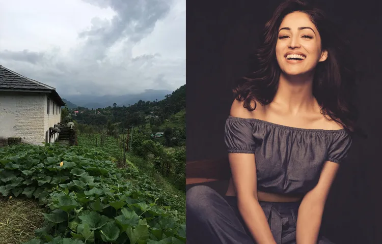 अपने हिमाचल के घर में ग्रीनहाउस बनवाना चाहती है यामी गौतम