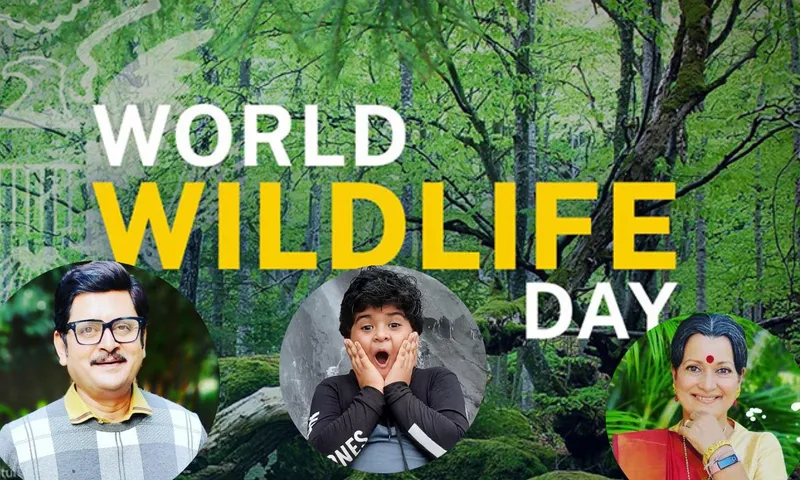 World Wildlife Day: कलाकारों का जब हुआ जंगली जानवरों से सामना