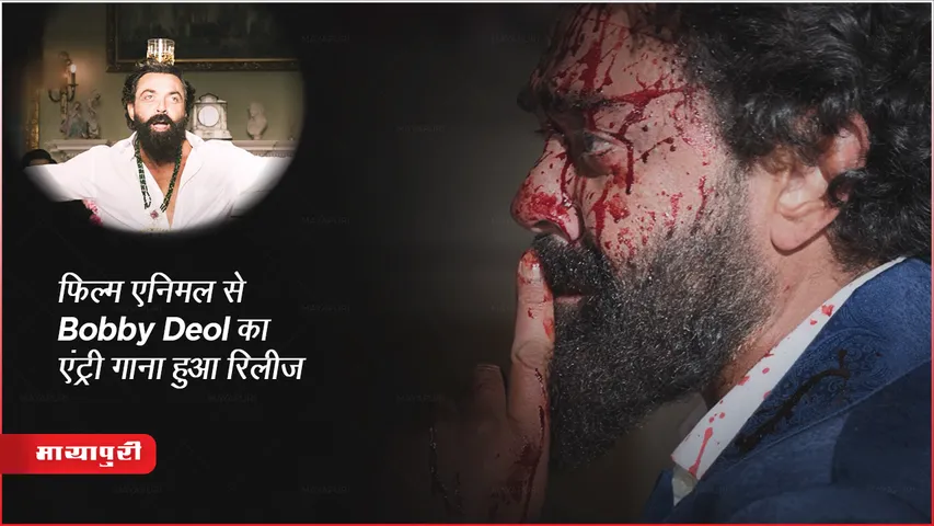 Animal Film Bobby Deol Lyrical Jamal Kundu Video