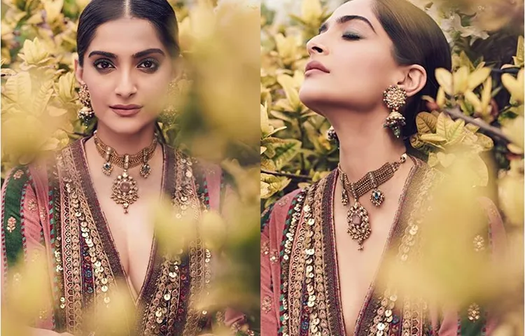 सोनम कपूर ने ट्रेडिशनल लुक में करवाया फोटोशूट , पति आनंद भी  बोले- HOTTIE