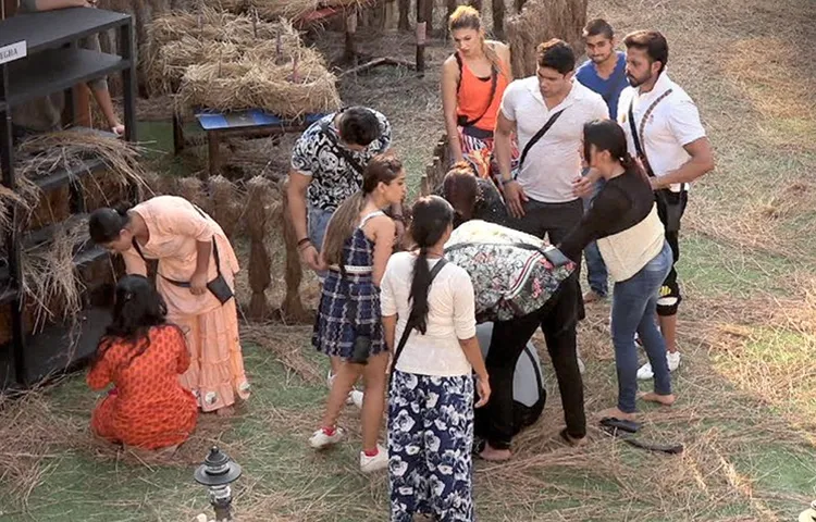 Big Boss 12 Day 37 कैप्टंसी टास्क जीतने के लिए एक दूसरे से भिड़े घरवाले