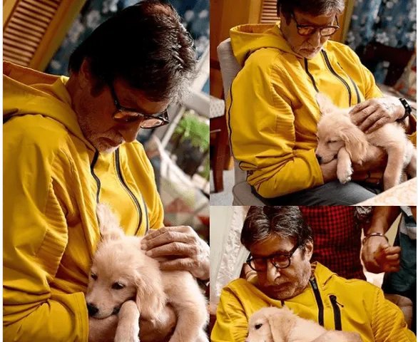 Amitabh Bachchan ने सेट पर अपने न्यू कम्पैनियन का किया स्वागत