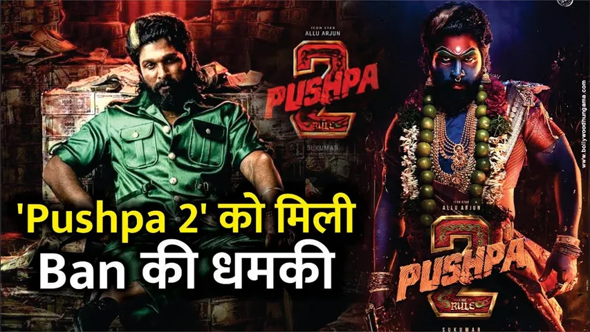 Pushpa 2 For Hurting Hindu Sentiments In Haryana Controversy Over Allu Arjun Maa Kali Avatar