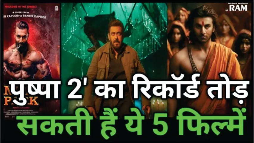 'Pushpa 2' का रिकॉर्ड तोड़ सकती हैं ये 5 फिल्में | Sikandar | King | Animal park | Border 2