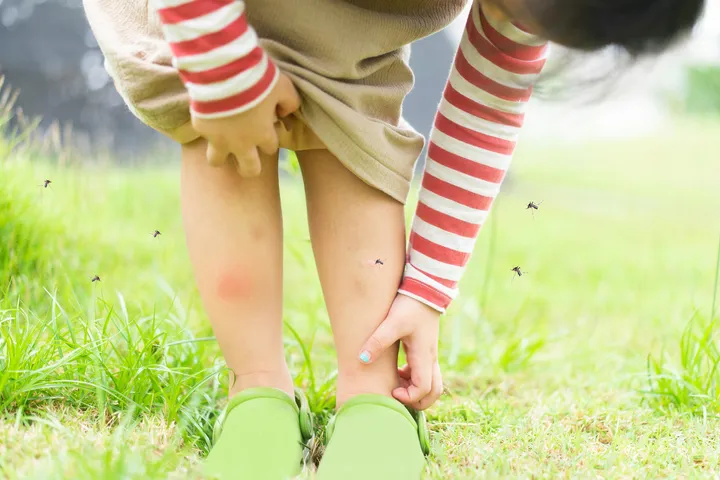 mosquito-bits-kids.