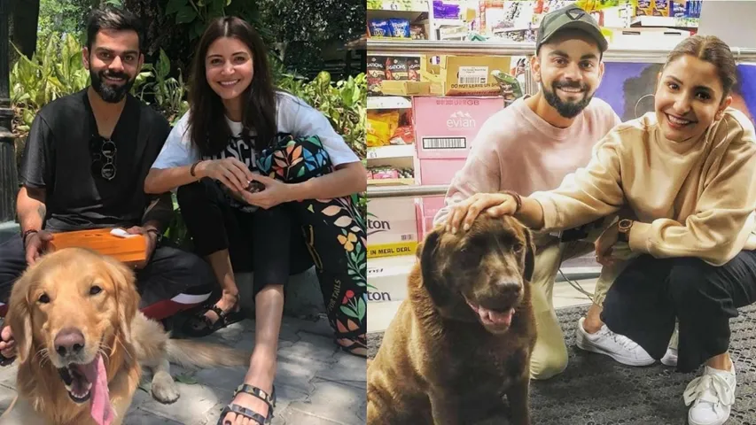kohli anushka dog