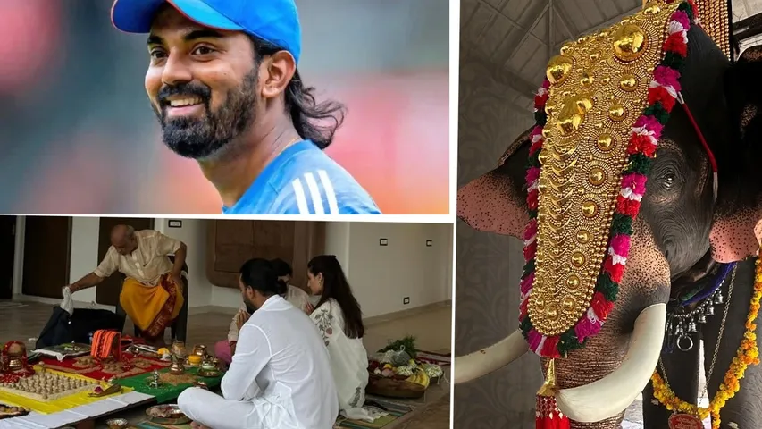 KL Rahul elephant (1)