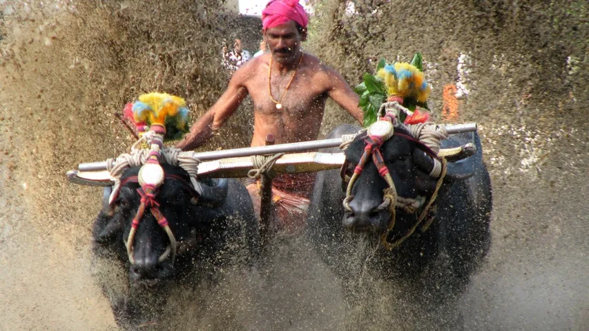 KAMBALA