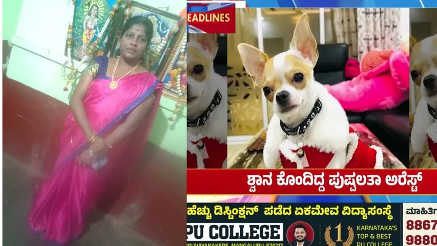 Pet Dog killer arrested