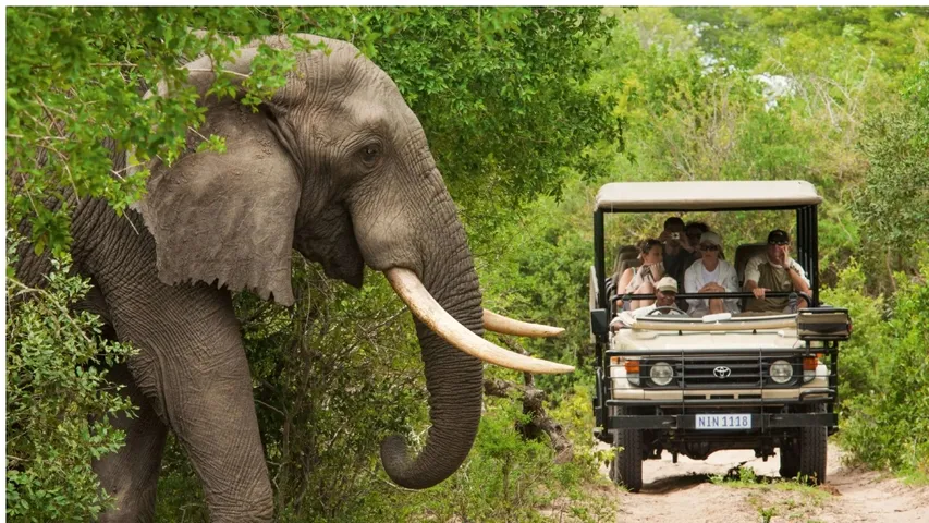 BANDIPURA SAFARI CLOSED FROM TODAY