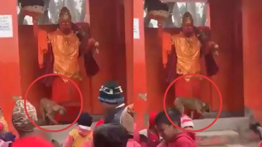 DOG ROUNDS HANUMAN STATUE IN BIJANOOR (1)