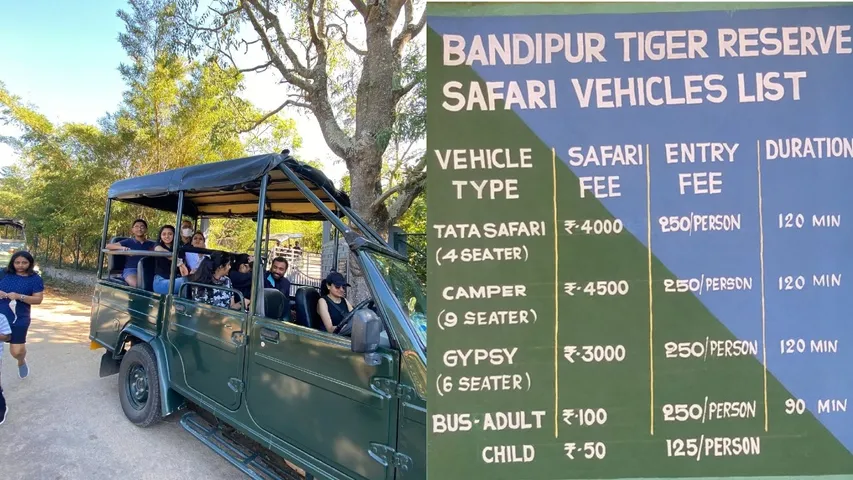 bandipura safari reopen