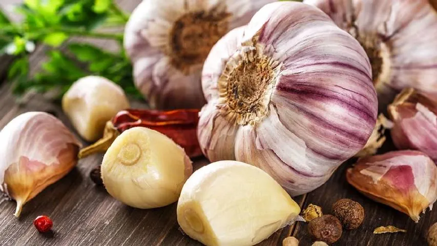 ಬೆಳ್ಳುಳ್ಳಿ ರೇಟ್​​ ಕೇಳಿ ದಂಗಾದ ಗ್ರಾಹಕರು; ಕಳ್ಳರ ಹಾವಳಿ; ಜಮೀನಿನಲ್ಲೇ ರೈತರ ಠಿಕಾಣಿ!