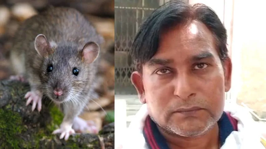 ಜಿಲ್ಲಾ ಆಸ್ಪತ್ರೆಯ ಶವಾಗಾರದಲ್ಲಿಟ್ಟಿದ್ದ ಮೃತದೇಹಗಳು ಇಲಿಗಳ ಪಾಲು.. ಕಣ್ಣು, ಹೆಬ್ಬೆರಳು ತಿಂದು ತೇಗಿದ ಮೂಷಿಕ