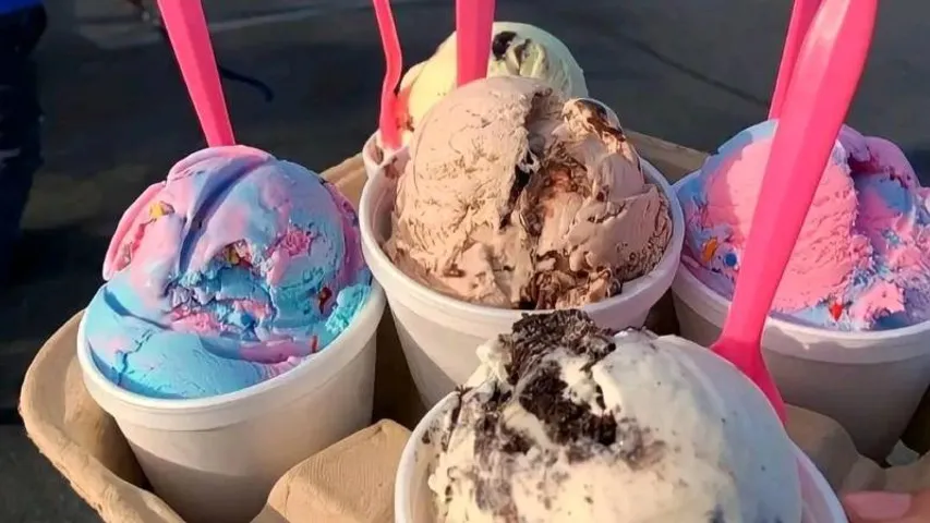 VIDEO: ಮೊನ್ನೆ ಕೈ ಬೆರಳು.. ಇಂದು ಜರಿ ಹುಳು; ಐಸ್​ಕ್ರೀಮ್​ ಪ್ರಿಯರು ಓದಲೇಬೇಕಾದ ಸ್ಟೋರಿ ಇದು!