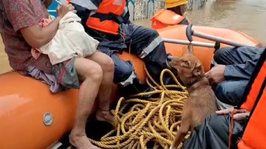 PHOTOS: ಕರಾವಳಿಯಲ್ಲಿ ಧಾರಾಕಾರ ಮಳೆ.. ಜನಜೀವನ ಅಸ್ತವ್ಯಸ್ತ, ಮೂಕ ಪ್ರಾಣಿಗಳಿಗೂ ಸಂಕಟ