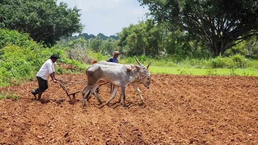 ಕೃಷಿಯಿಂದ ಕೋಟಿ ಕೋಟಿ ದುಡಿಯುವುದು ಹೇಗೆ? ನೀವು ಓದಲೇಬೇಕಾದ ಸ್ಟೋರಿ ಇದು