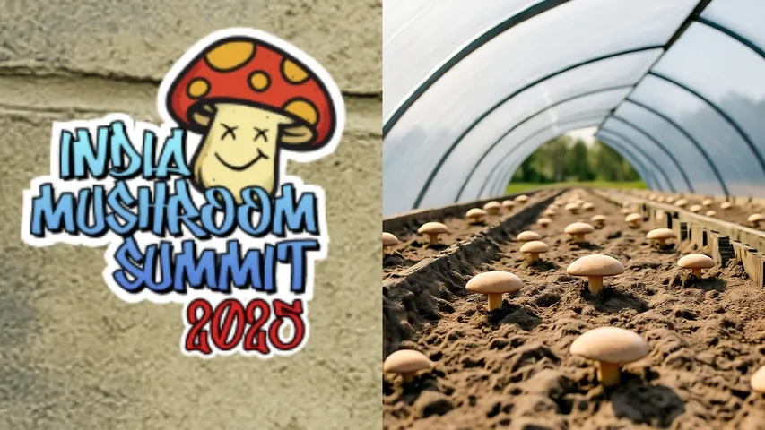 INDIA MUSHROOM SUMMIT 2025