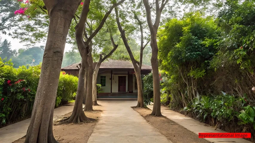 BENGALURU TREE CENSUS