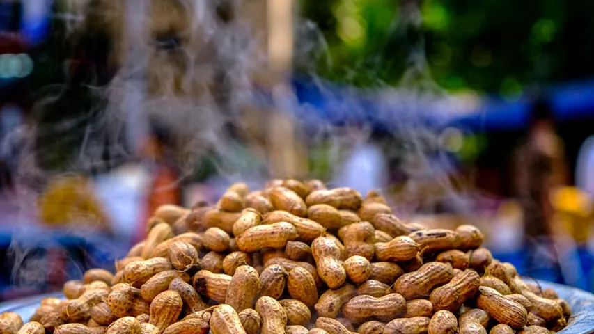 KADLEKAAYI PARISEH-BENGALURU